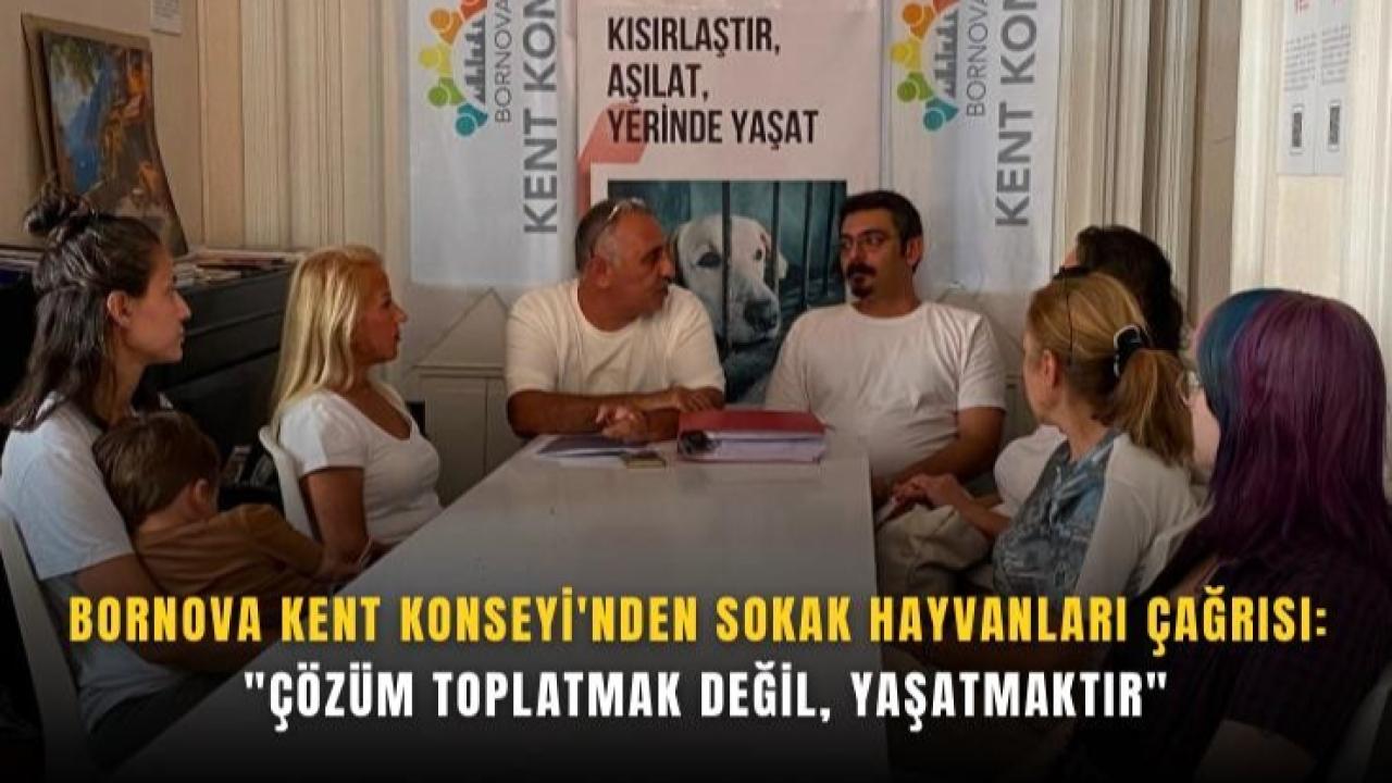 Sokak hayvanları için Bornova’dan çağrı