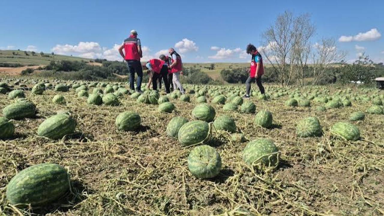 Süper hücre Tekirdağ'ı vurdu: Ekili alanlar yerle bir oldu
